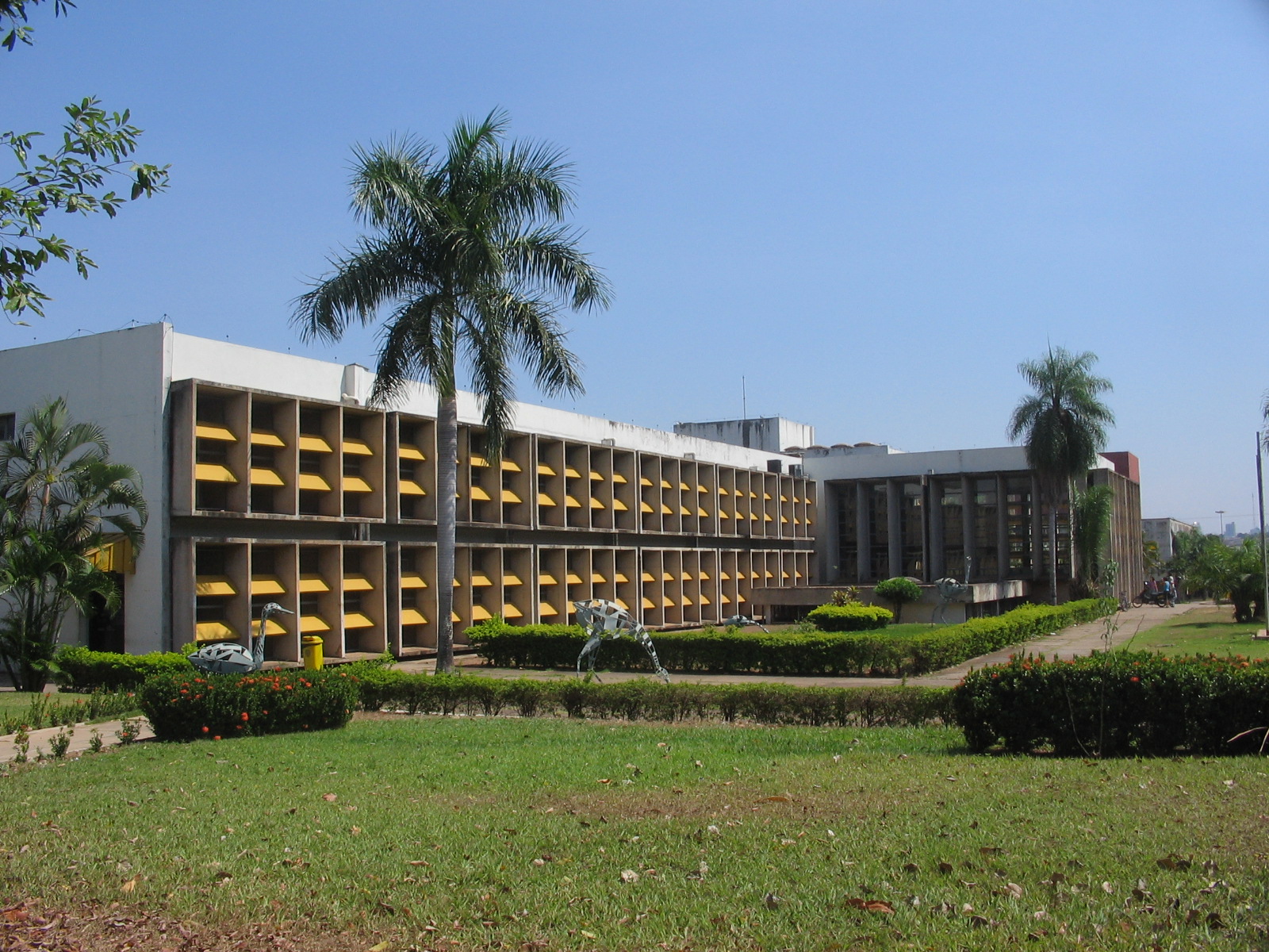 Imagem de referência relacionada a Universidade Federal de Mato Grosso, item descrito como universidade pública federal no estado de Mato Grosso, Brasil