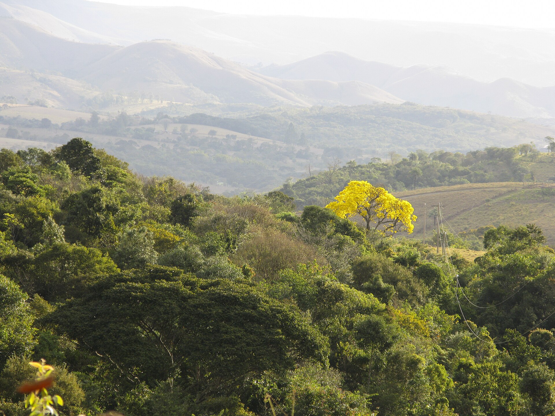 Imagem de referência de Serra da Cantareira, descrito nos dados abertos como serra ao norte da cidade de São Paulo