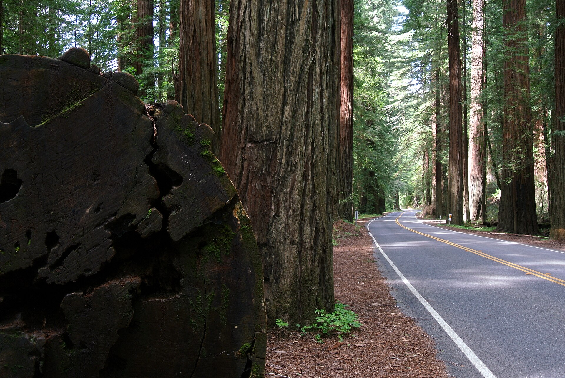 Imagem de referência de California State Route 254, descrito nos dados abertos como rodovia da Califórnia