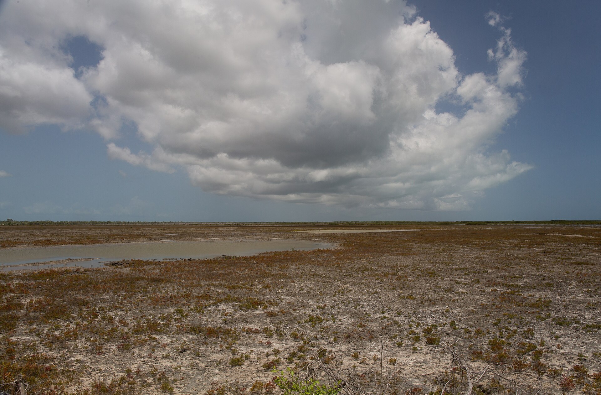 Imagem de referência relacionada a Ilha Romana, item descrito como ilha em Cuba