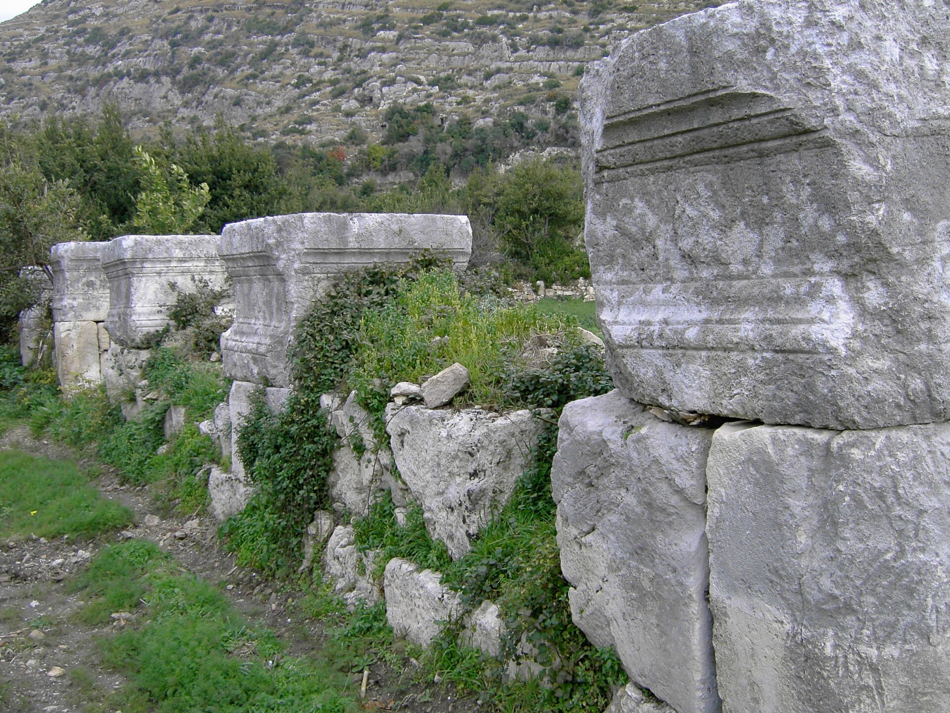 Imagem de referência relacionada a Selêucia Piéria, item descrito como registro de referência sobre Selêucia Piéria, organizado a partir de dados estruturados abertos