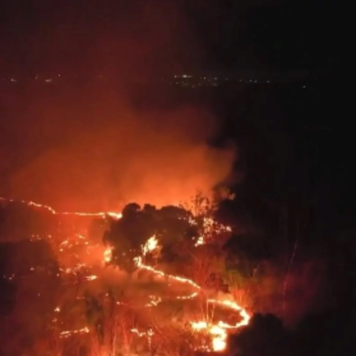 Incêndio em área da Embrapa mobiliza Exército e bombeiros em Teresina (PI)