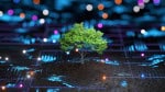 Inteligência artificial vira aliada e ajuda a combater crise climática
