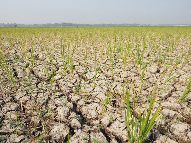 El Niño pode afetar mais de 30 milhões de crianças brasileiras