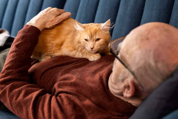 Interação entre gato e humano aumenta níveis de hormônio do amor em ambos