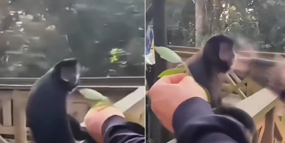 Vídeo do momento da agressão circula nas redes sociais Foto: Reprodução/Instagram/@ovictorbiologo