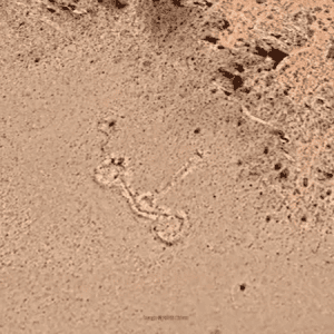 Figura misteriosa encontrada no Google Earth intriga arqueólogos nos Andes