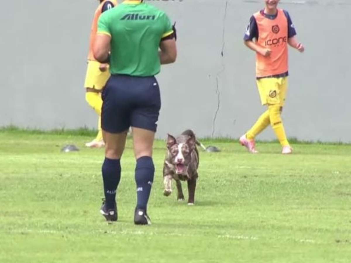 Cachorro invade campo e quase faz gol em jogo do Vasco Sub-15
