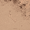 Figura misteriosa encontrada no Google Earth intriga arqueólogos nos Andes