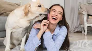 Seu cachorro não para de latir no portão? Veterinário explica o que fazer