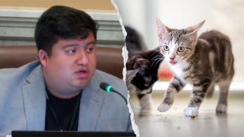 Blue state councilman mocked after claiming self-driving cars are 'murdering' pets: 'Hide your cats'