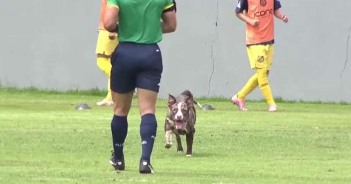 Cachorro invade campo e quase faz gol em jogo do Vasco Sub-15
