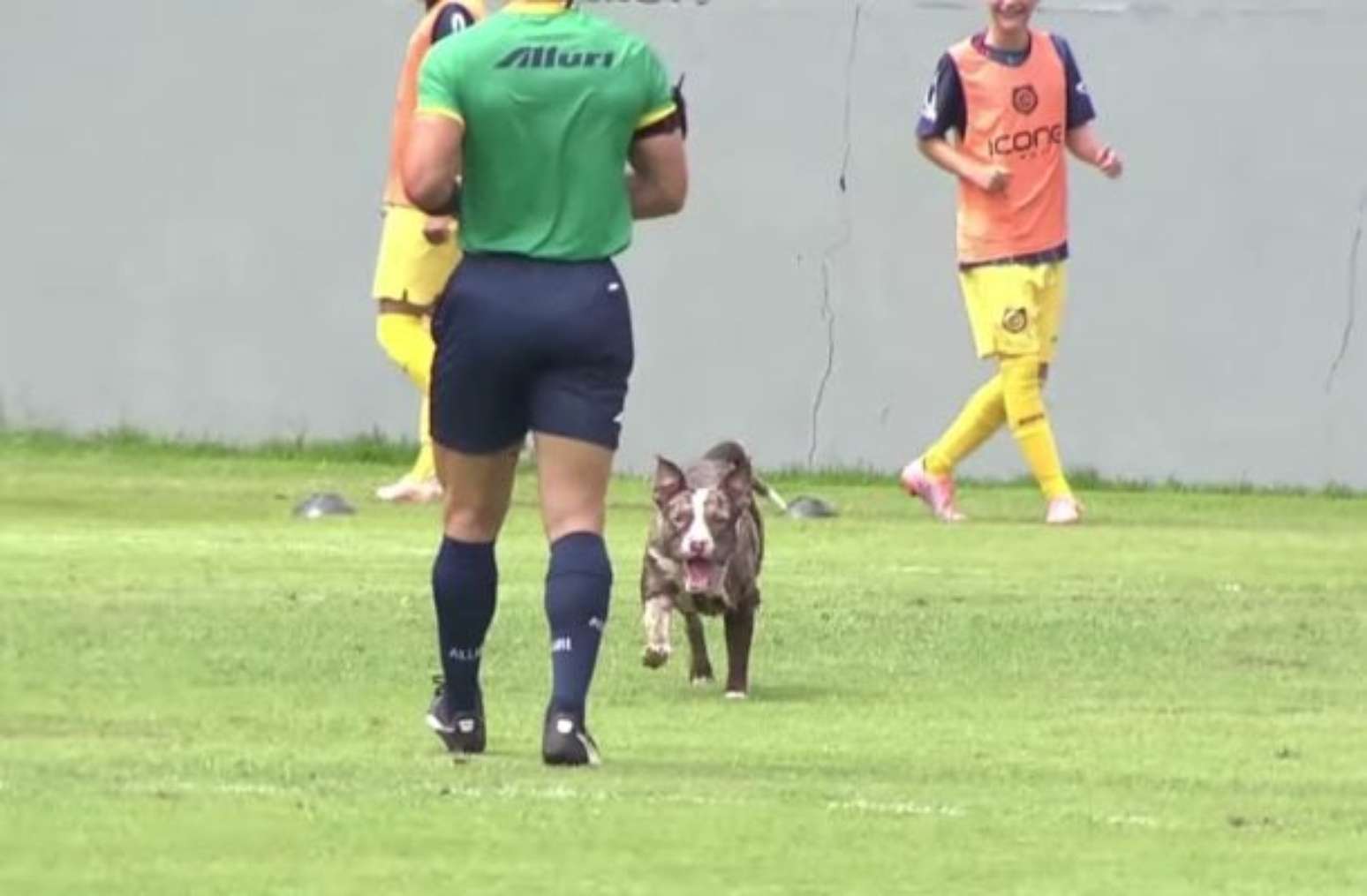 Apesar da cena inusitada, Vasco segurou o resultado e venceu o Madureira &ndash;