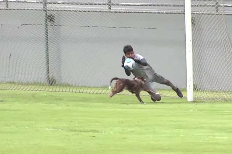Cachorro invade campo e quase faz gol em jogo do Vasco Sub-15