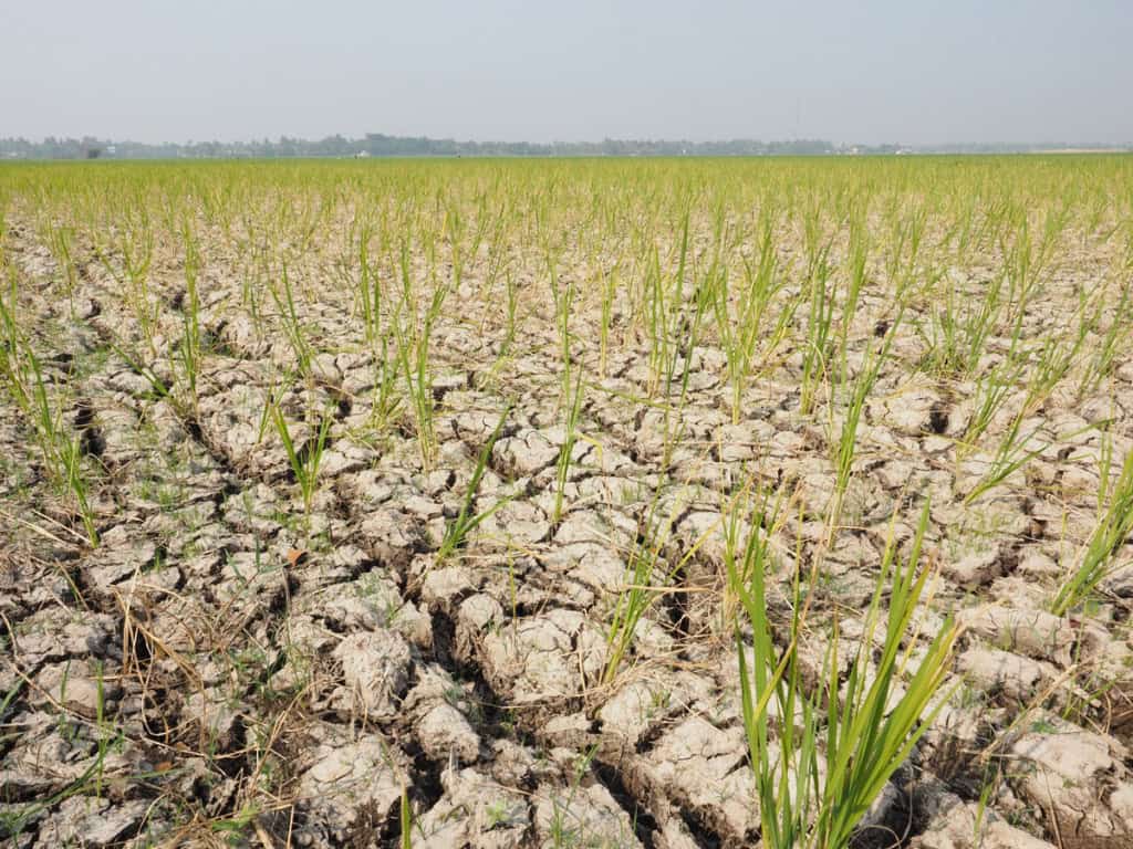 El Niño pode afetar mais de 30 milhões de crianças brasileiras