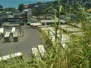 Moradores de cidades em RJ, SP e BA relatam falta de ônibus para ir votar
